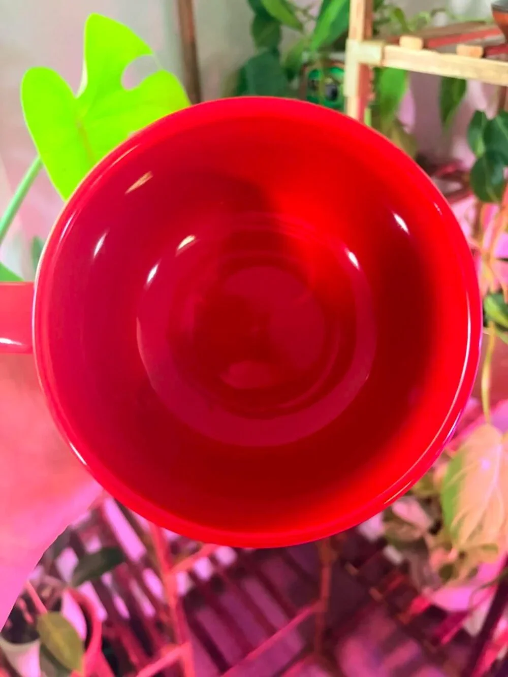 Dr. Seuss The Grinch Naughty or Nice Oversized Red Christmas Mug
